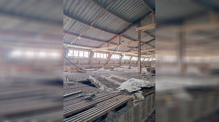 Ma-Cabane - Vente Divers Saint-Dolay, 558 m²