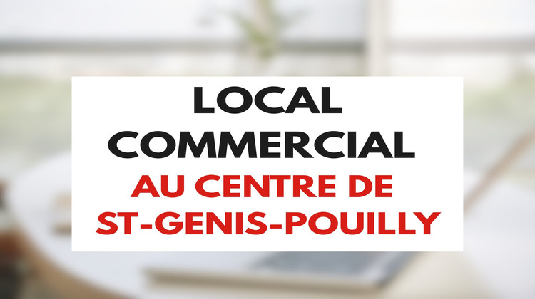 Ma-Cabane - Vente Divers Saint-Genis-Pouilly, 174 m²