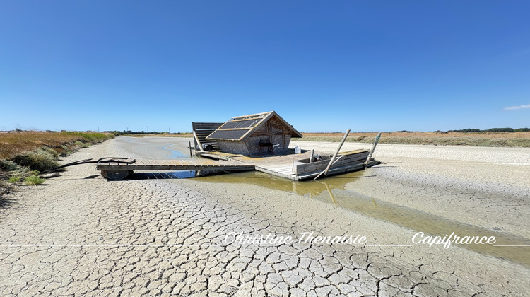Ma-Cabane - Vente Divers SAINT HILAIRE DE RIEZ, 8530 m²