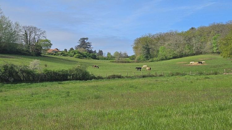 Ma-Cabane - Vente Divers SAINT MAIME DE PEREYROL, 72 m²