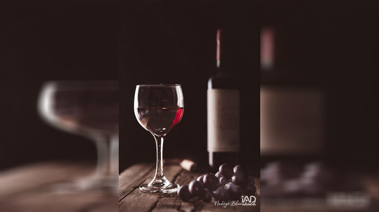 Ma-Cabane - Vente Divers Saint-Martin-de-Ré, 50 m²