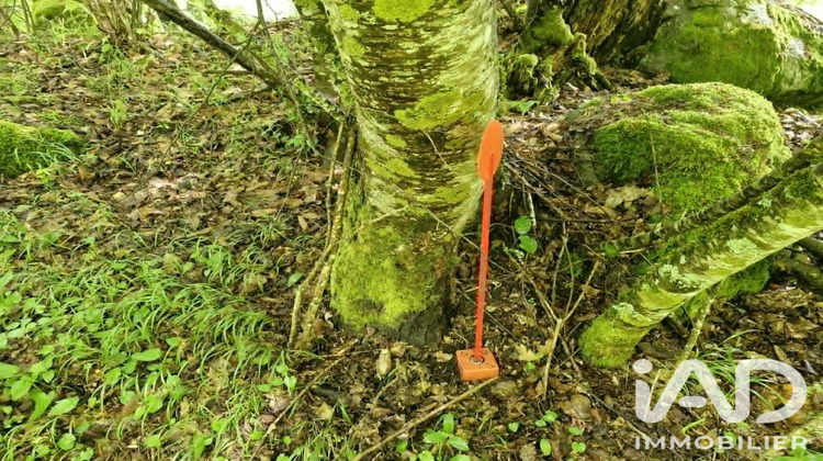 Ma-Cabane - Vente Divers Saint Rémy de Maurienne, 65 m²