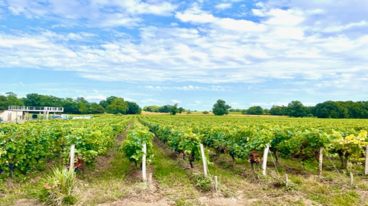 Ma-Cabane - Vente Divers SAINT SEURIN DE CADOURNE, 460000 m²