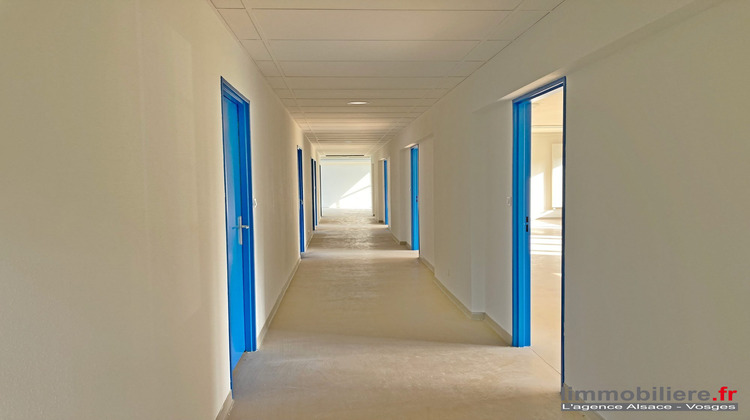 Ma-Cabane - Vente Divers Sainte-Marie-aux-Mines, 300 m²