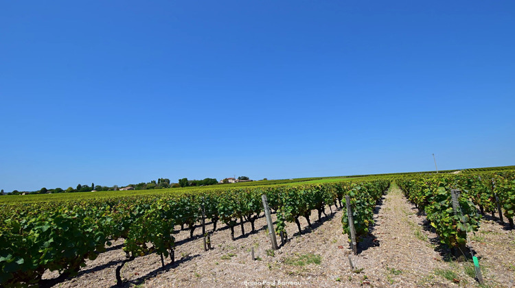 Ma-Cabane - Vente Divers Sauternes, 600 m²