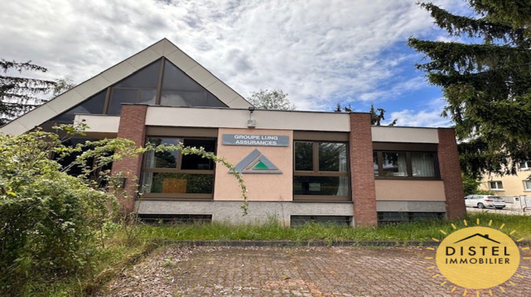 Ma-Cabane - Vente Divers Souffelweyersheim, 352 m²