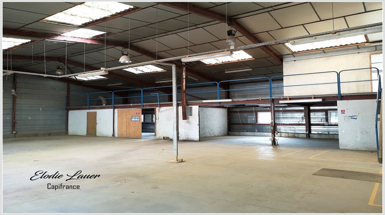 Ma-Cabane - Vente Divers VIC EN BIGORRE, 569 m²