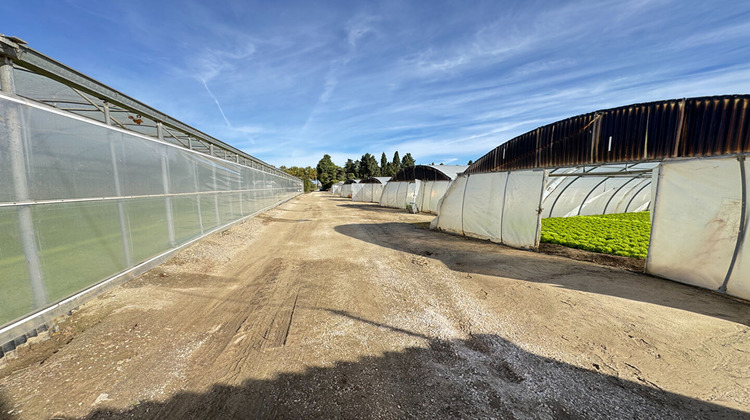 Ma-Cabane - Vente Divers VILLELONGUE-DE-LA-SALANQUE, 13600 m²