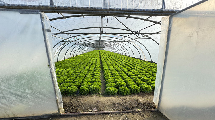 Ma-Cabane - Vente Divers VILLELONGUE-DE-LA-SALANQUE, 13600 m²