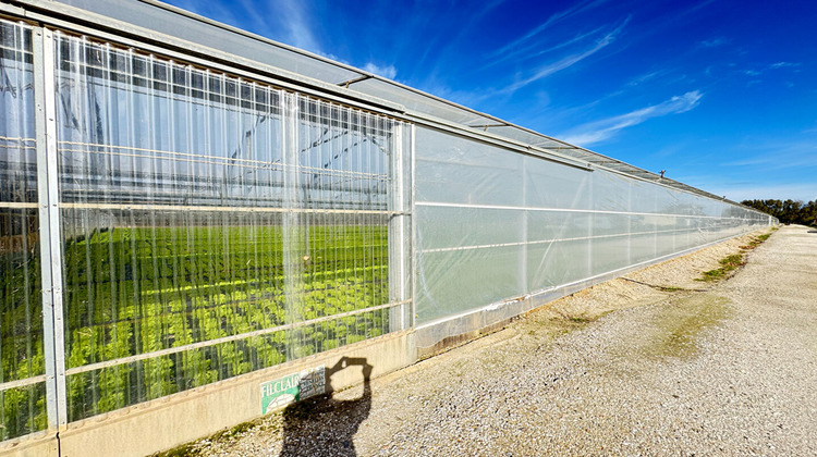 Ma-Cabane - Vente Divers VILLELONGUE-DE-LA-SALANQUE, 31000 m²