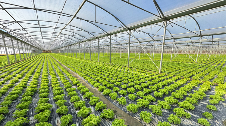 Ma-Cabane - Vente Divers VILLELONGUE-DE-LA-SALANQUE, 31000 m²