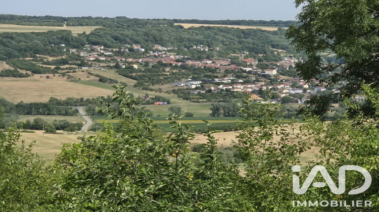 Ma-Cabane - Vente Immeuble Amance, 660 m²