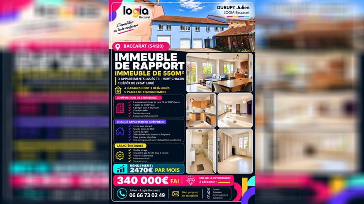 Ma-Cabane - Vente Immeuble BACCARAT, 550 m²