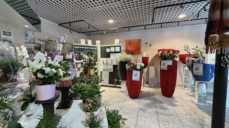 Ma-Cabane - Vente Immeuble Bapaume, 160 m²