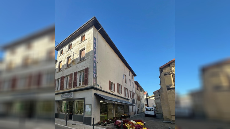 Ma-Cabane - Vente Immeuble Beaurepaire, 434 m²