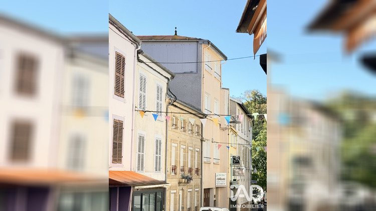Ma-Cabane - Vente Immeuble Bourbonne-les-Bains, 230 m²