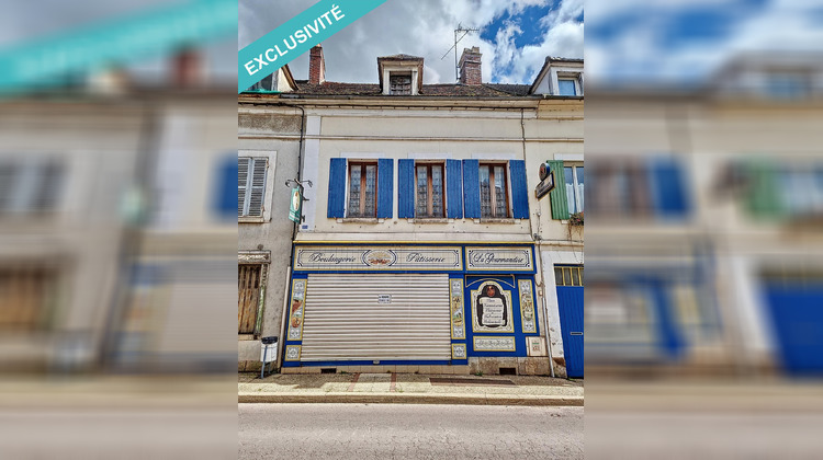 Ma-Cabane - Vente Immeuble Brienon-sur-Armancon, 272 m²