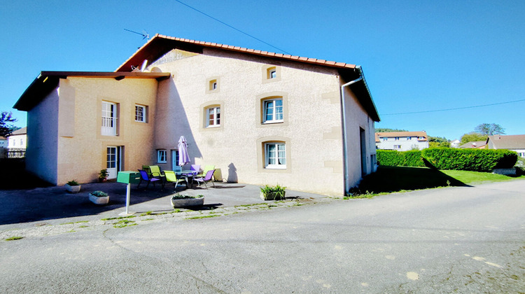 Ma-Cabane - Vente Immeuble BROUVELIEURES, 467 m²