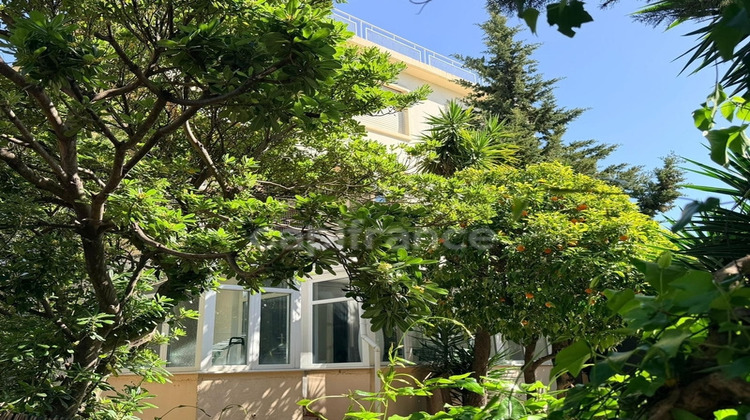 Ma-Cabane - Vente Immeuble CANNES, 83 m²