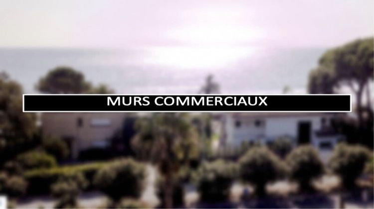 Ma-Cabane - Vente Immeuble Cavalaire-sur-Mer, 495 m²