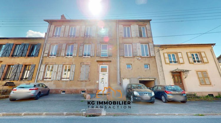 Ma-Cabane - Vente Immeuble CELLES-SUR-PLAINE, 500 m²