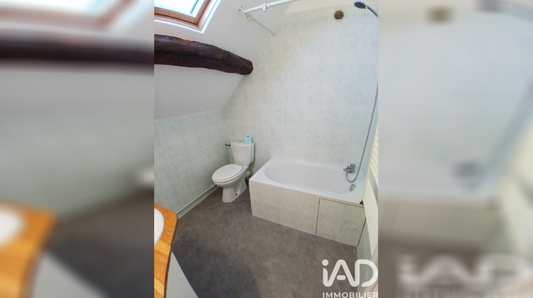 Ma-Cabane - Vente Immeuble Châtillon-sur-Loire, 171 m²