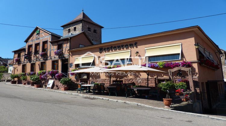 Ma-Cabane - Vente Immeuble Dambach-la-Ville, 560 m²