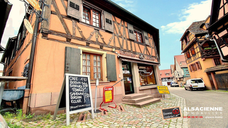 Ma-Cabane - Vente Immeuble Dambach-la-Ville, 291 m²