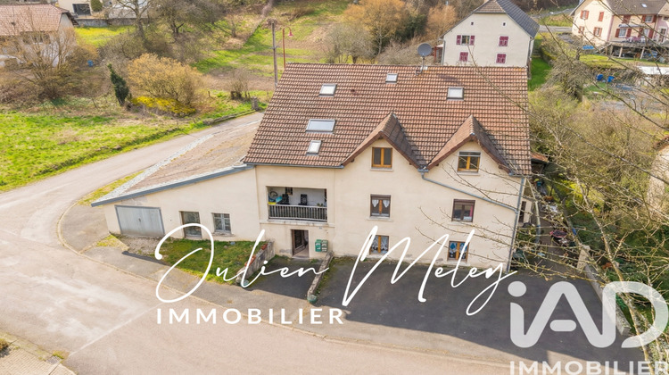 Ma-Cabane - Vente Immeuble Dannemarie, 414 m²