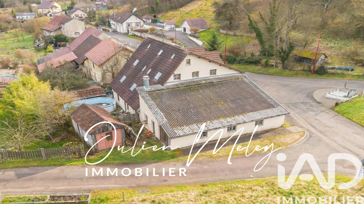 Ma-Cabane - Vente Immeuble Dannemarie, 414 m²