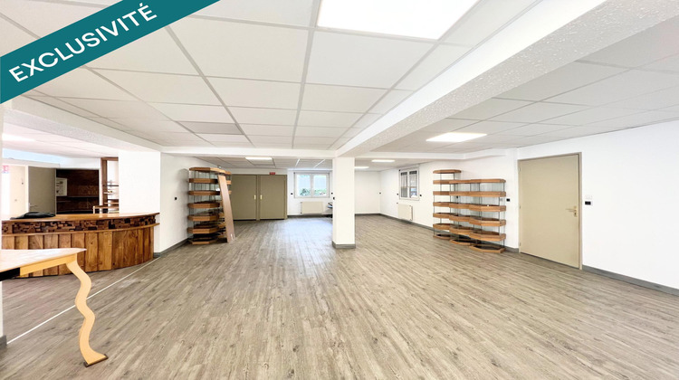 Ma-Cabane - Vente Immeuble Dannemarie, 255 m²