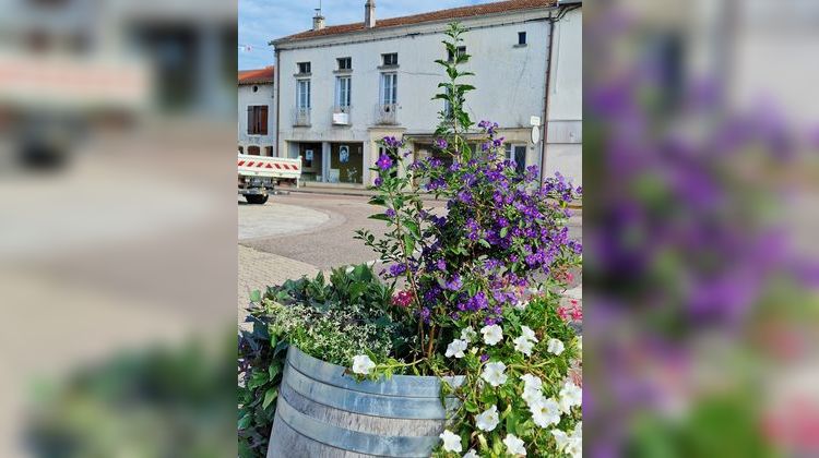 Ma-Cabane - Vente Immeuble DARNEY, 450 m²