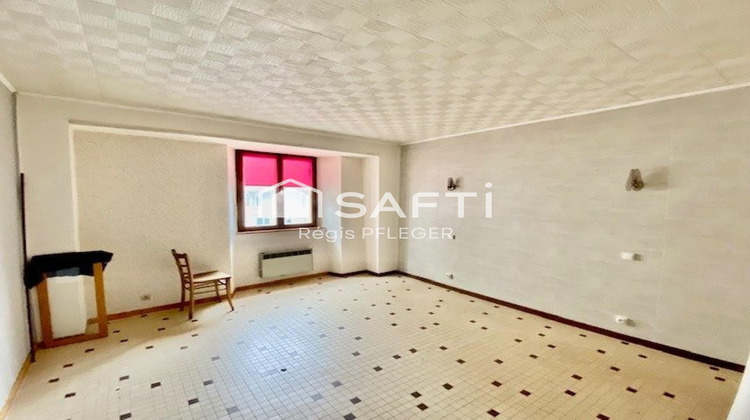 Ma-Cabane - Vente Immeuble Delle, 180 m²