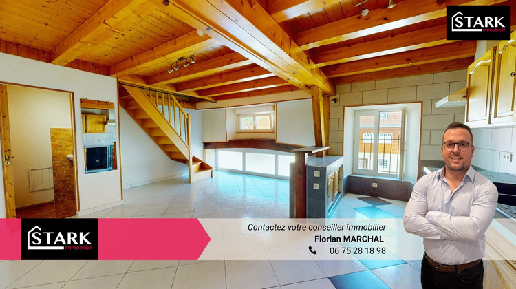 Ma-Cabane - Vente Immeuble Delle, 300 m²