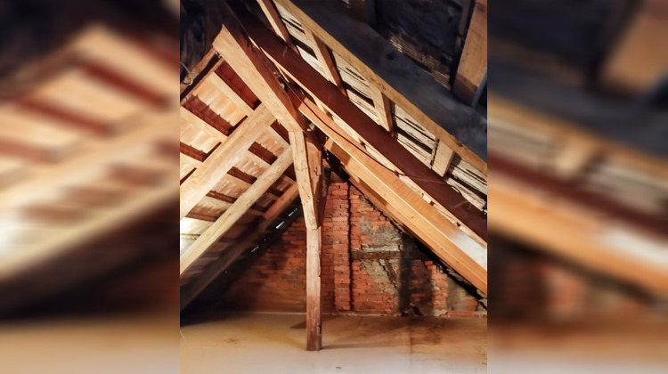 Ma-Cabane - Vente Immeuble DELLE, 163 m²