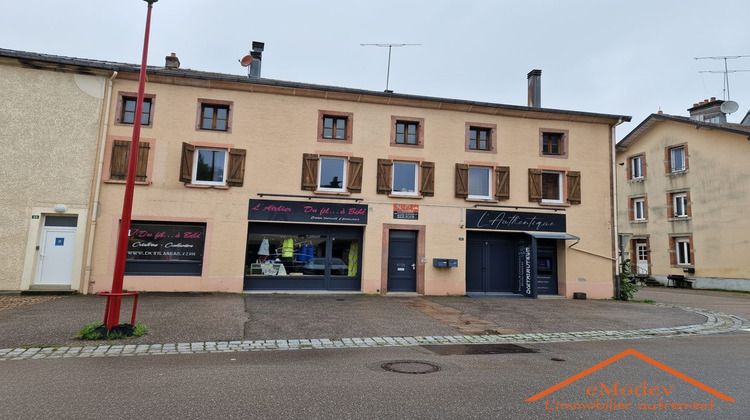 Ma-Cabane - Vente Immeuble Docelles, 507 m²