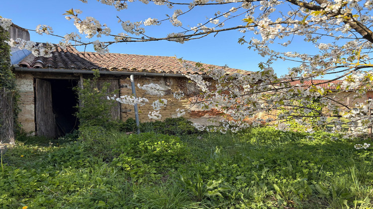 Ma-Cabane - Vente Immeuble Dunes, 150 m²