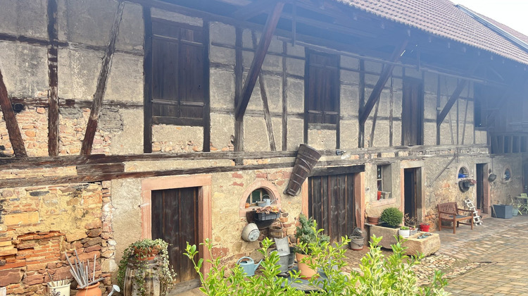 Ma-Cabane - Vente Immeuble Epfig, 500 m²