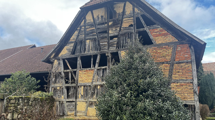 Ma-Cabane - Vente Immeuble Epfig, 500 m²