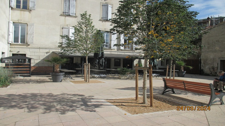 Ma-Cabane - Vente Immeuble FOIX, 250 m²