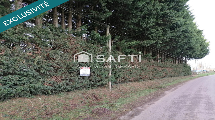 Ma-Cabane - Vente Immeuble Fougerolles-du-Plessis, 2000 m²