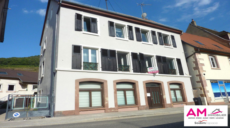 Ma-Cabane - Vente Immeuble Guebwiller, 395 m²