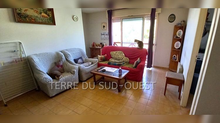 Ma-Cabane - Vente Immeuble HAGETMAU, 254 m²