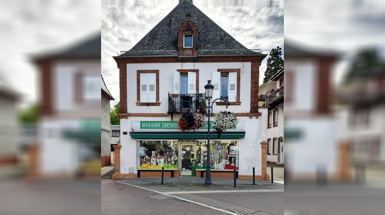 Ma-Cabane - Vente Immeuble Haguenau, 327 m²