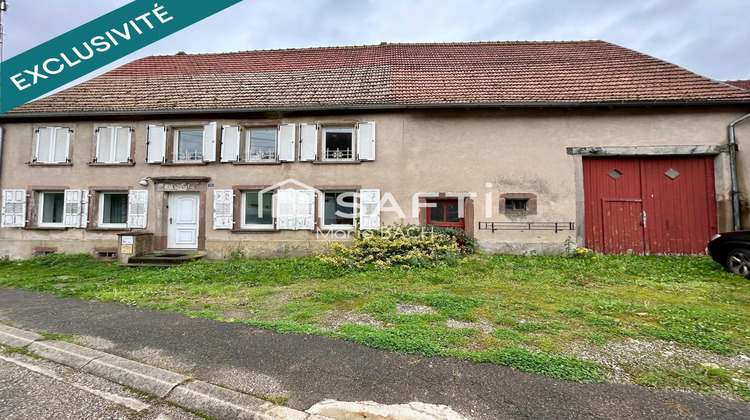 Ma-Cabane - Vente Immeuble Hirschland, 262 m²
