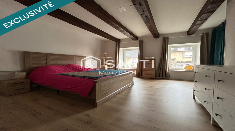 Ma-Cabane - Vente Immeuble Hirschland, 262 m²