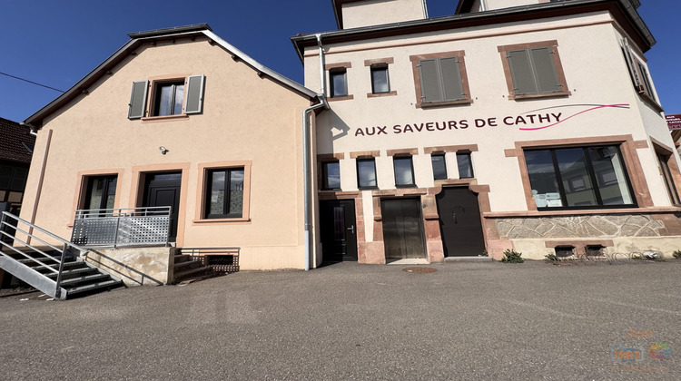 Ma-Cabane - Vente Immeuble Huttenheim, 605 m²