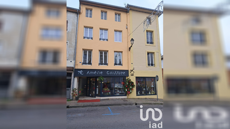 Ma-Cabane - Vente Immeuble Joinville, 60 m²