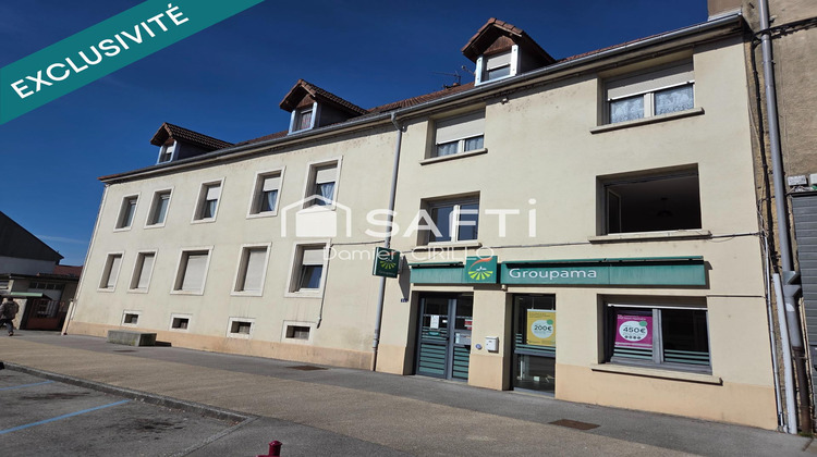 Ma-Cabane - Vente Immeuble L' Isle-sur-le-Doubs, 580 m²