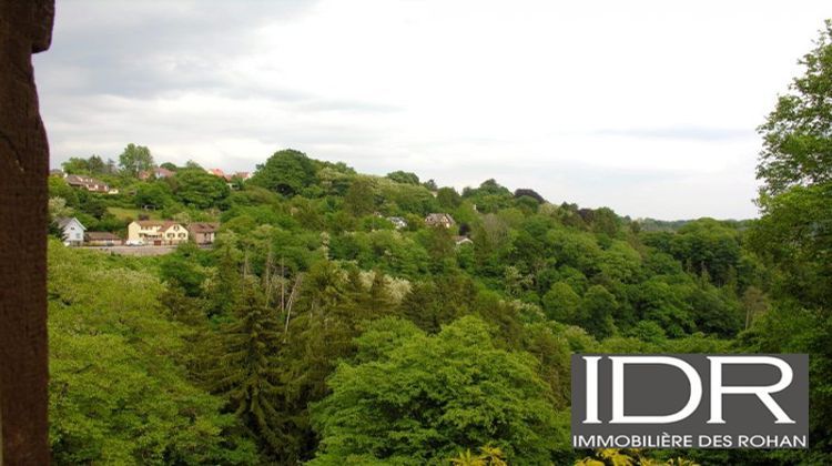 Ma-Cabane - Vente Immeuble La Petite-Pierre, 260 m²